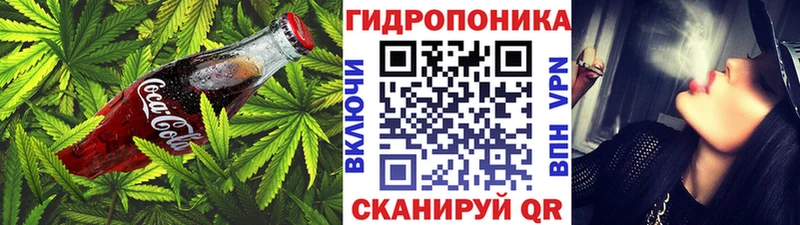 даркнет как зайти  Мичуринск  Еда ТГК конопля  hydra tor 