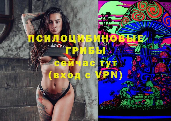 экстази Алексин