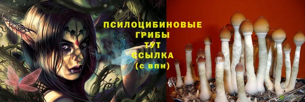 кокаин колумбия Алзамай