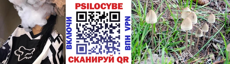 Галлюциногенные грибы MAGIC MUSHROOMS  ссылка на мегу ССЫЛКА  Мичуринск 